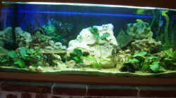 Aquarium Becken 3464