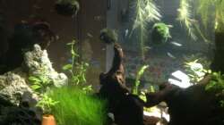 In echt ist das alles viel schöner....