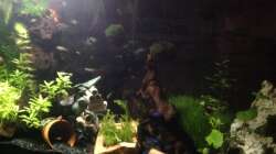 Unterwasserwelt (ich brauche dringend eine gute Kamera)