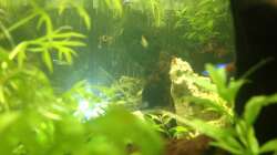 Blick ins Innere, Rückwand aus Stöckchen selbst gebastelt