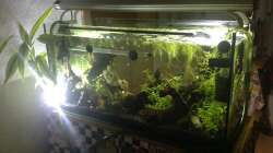 Rückseite, Lochgestein weitesgehend wüentferntd, mehr Mangrovenwurzeln und neuer