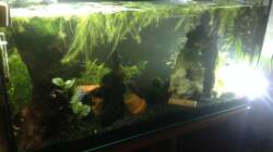 Vorderseite nach Lochgesteinreform; schade, dass (meine) Bilder den wahren Zauber