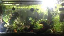 Rückseite mit Röhrenturm als Ersatz für Lochgestein,; ein weiteres, schöneres