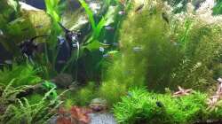 21.09.18 linke Seite