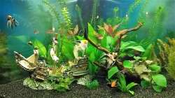 Stand Ende Februar 2018