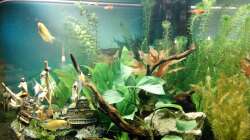 Stand Ende Februar 2018