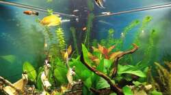 Stand Ende Februar 2018