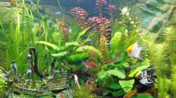 Bild 27.11 2018 vor CO 2