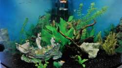 Becken am 15.02.18 Erstgestaltung