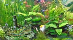 Bild 27.11.2018 vor CO 2