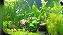 Aktuelles Bild Januar 2019