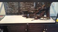 Trockenübung alles nach rechts