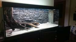 Layout fertig Rückwand 3 mal mit Epoxid Harz eingepinselt