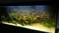 nach erstem Wasserwechsel