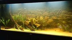 Jetzt mit Schwarzwasser