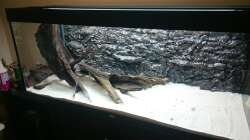 Trockenübung die zweite