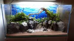 bepflanzter Hintergrund