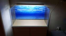 das neue leere Becken