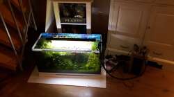 das alte Becken erstmal ´zwischengeparkt´