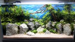 Das Ergebnis mit Wasser 1.Tag