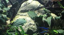 rote und blaue Neons