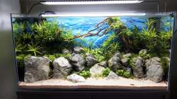 Das Ergebnis mit Wasser 1.Tag