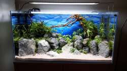 Das Ergebnis mit Wasser 1.Tag