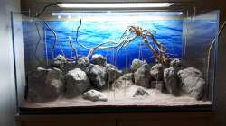 Das Hardscape von vorne