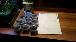 InVitro Pflanzen und Pflanzplan