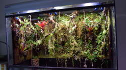 Oberer Teil besteht seit 2015