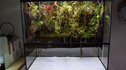 Unteres Becken leergeräumt