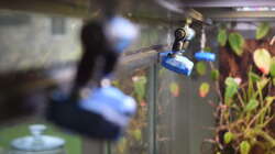 6 Beregnungsdüsen in der Abdeckung verbaut