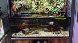 Gesamtansicht 13.04.2018