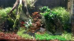 Ansicht rechts nach Umgestaltung 15.12.2020