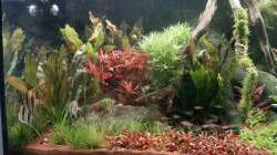 Ansicht links nach Umgestaltung 15.12.2020