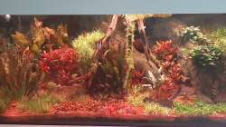 Nach Umgestaltung am 15.12.2020