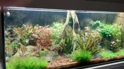 Gesamtansicht 24.11.2020