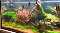 Aktuelle Ansicht mit geänderter Einrichtung