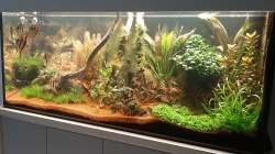 Gesamtansicht 01.07.2021