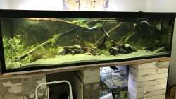 Aquarium Little Amazonas im Ötztal