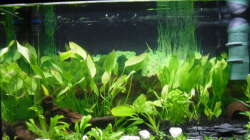 Aquarium Family Relaxpoint