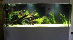 Gesamtansicht 06.04.18