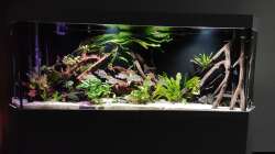 Gesamtansicht 01.09.21