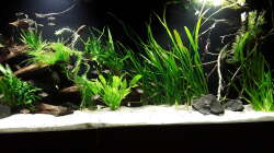 Rechte Beckenhälfte 01.05.18