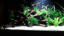 Linke Beckenhälfte 01.05.18