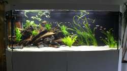 Gesamtansicht 27.04.18