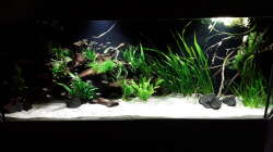 Gesamtansicht 01.05.18