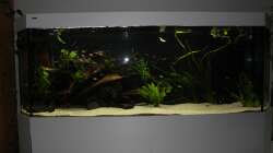 Gesamtansicht 27.04.18 (mit Blitz, so kommt die wirkliche Helligkeit im Becken am