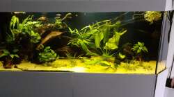 Gesamtansicht 22.08.19