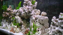 Aquarium Becken 359